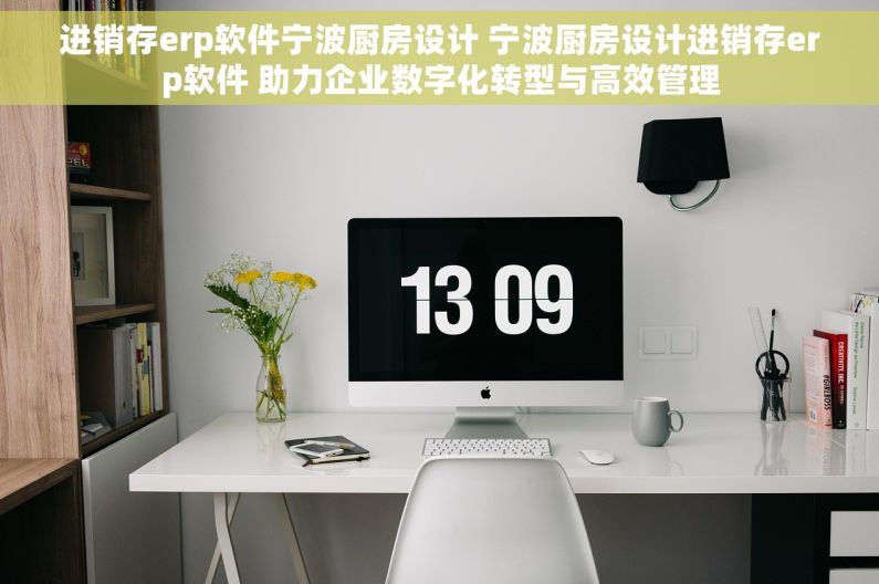 进销存erp软件宁波厨房设计 宁波厨房设计进销存erp软件 助力企业数字化转型与高效管理 进销存erp软件宁波厨房设计 宁波厨房设计进销存erp软件 助力企业数字化转型与高效管理