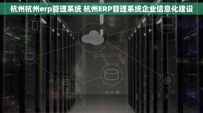 杭州杭州erp管理系统 杭州ERP管理系统企业信息化建设 杭州杭州erp管理系统 杭州ERP管理系统企业信息化建设