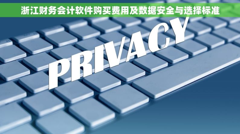 浙江财务会计软件购买费用及数据安全与选择标准 浙江财务会计软件购买费用及数据安全与选择标准