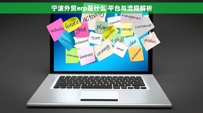 宁波外贸erp是什么 平台与流程解析