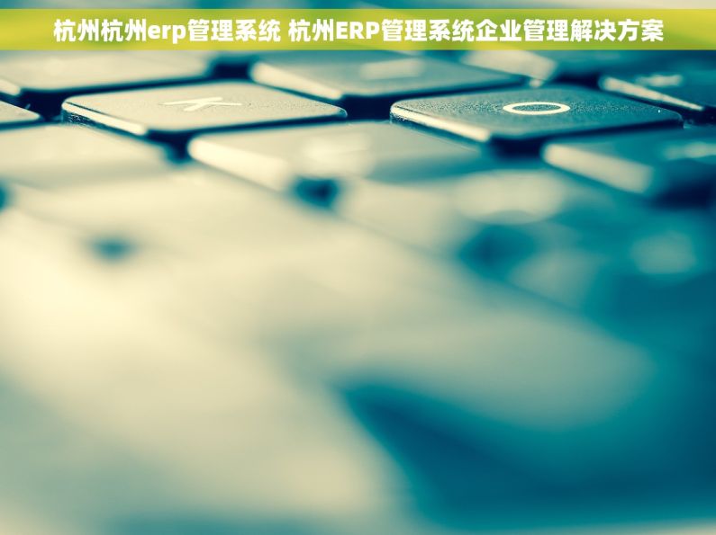 杭州杭州erp管理系统 杭州ERP管理系统企业管理解决方案