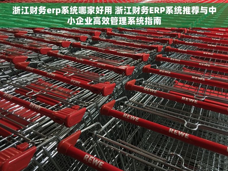浙江财务erp系统哪家好用 浙江财务ERP系统推荐与中小企业高效管理系统指南