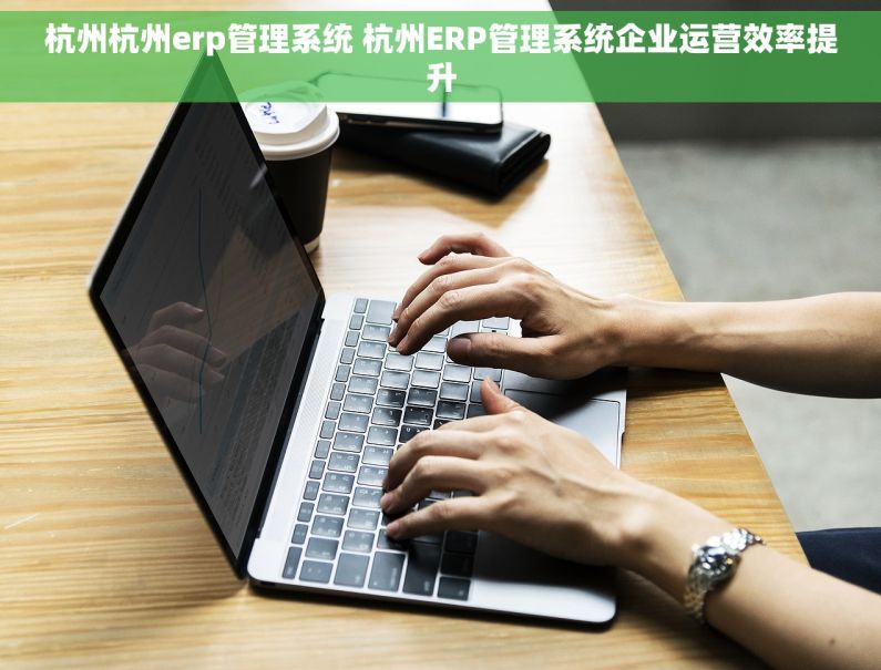 杭州杭州erp管理系统 杭州ERP管理系统企业运营效率提升 杭州杭州erp管理系统 杭州ERP管理系统企业运营效率提升