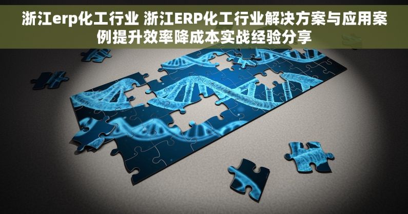 浙江erp化工行业 浙江ERP化工行业解决方案与应用案例提升效率降成本实战经验分享