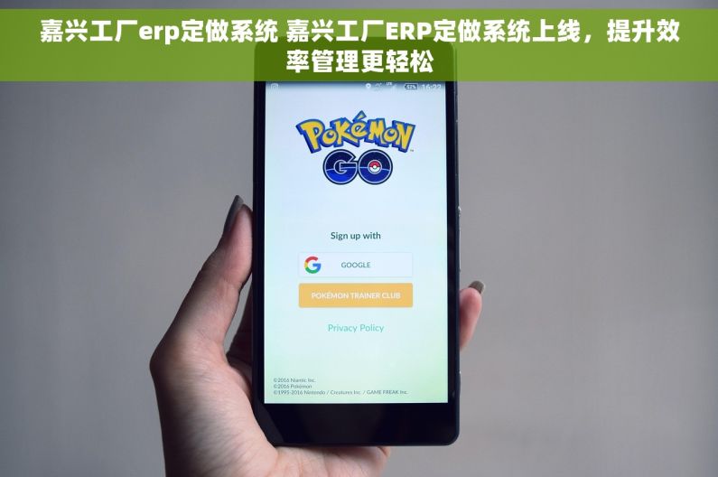 嘉兴工厂erp定做系统 嘉兴工厂ERP定做系统上线，提升效率管理更轻松