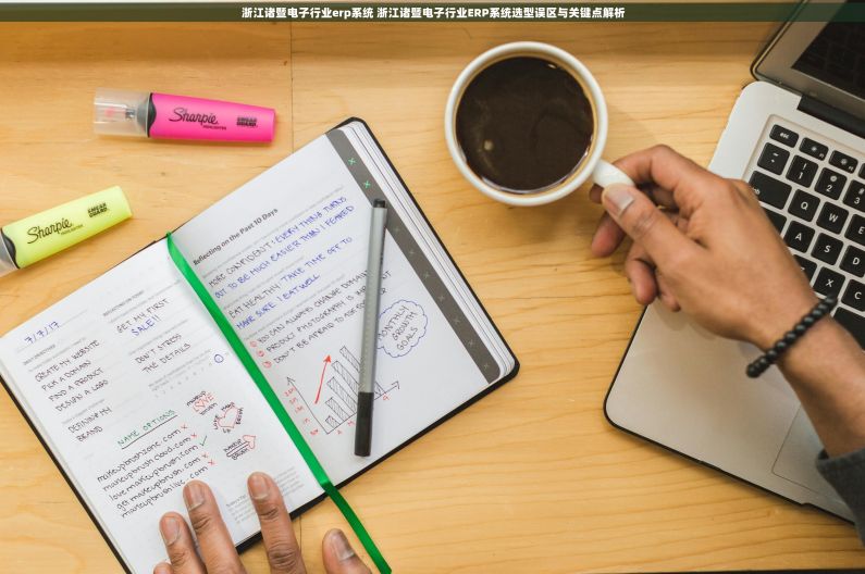 浙江诸暨电子行业erp系统 浙江诸暨电子行业ERP系统选型误区与关键点解析