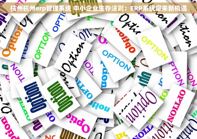 杭州杭州erp管理系统 中小企业生存法则:ERP系统带来新机遇 杭州杭州erp管理系统 中小企业生存法则:ERP系统带来新机遇