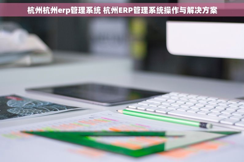 杭州杭州erp管理系统 杭州ERP管理系统操作与解决方案