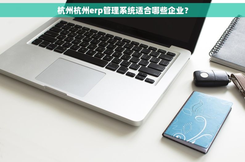 杭州杭州erp管理系统适合哪些企业？
