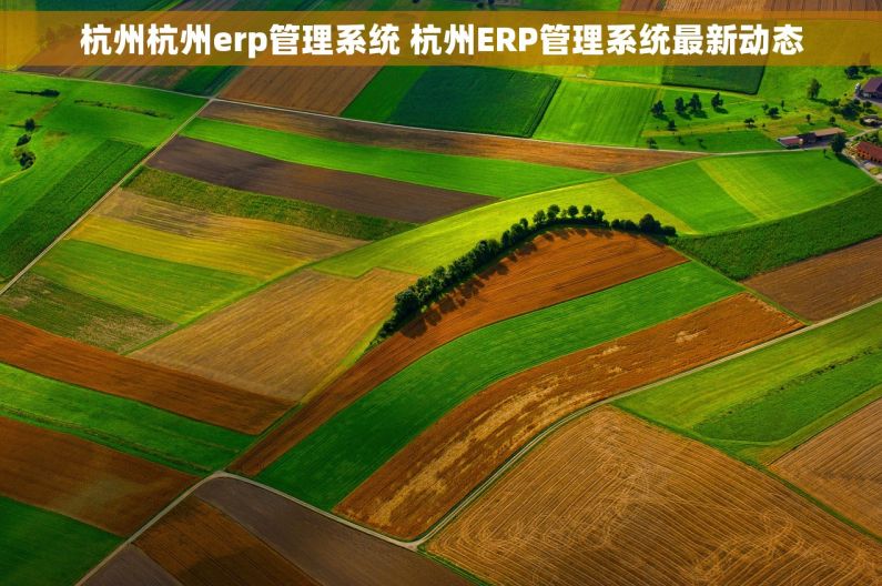杭州杭州erp管理系统 杭州ERP管理系统最新动态