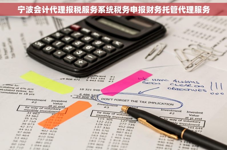 宁波会计代理报税服务系统税务申报财务托管代理服务
