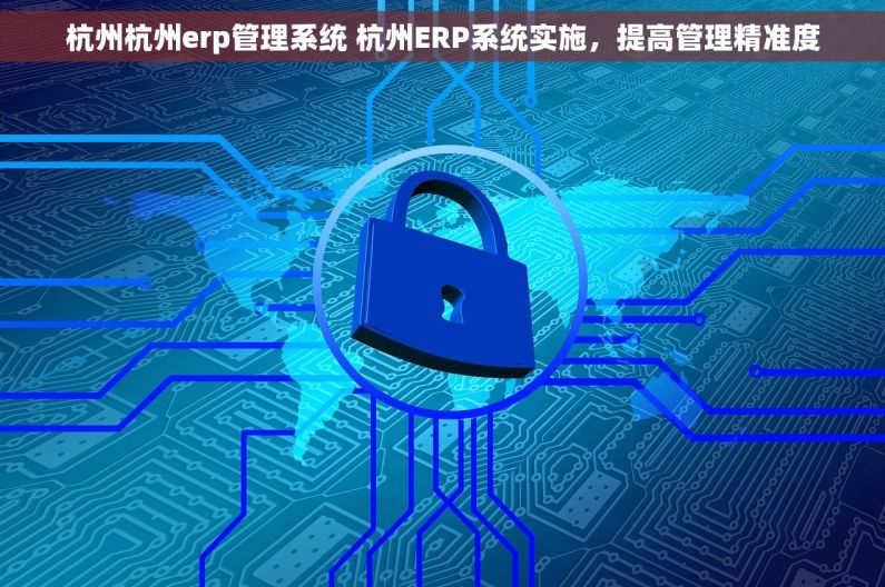 杭州杭州erp管理系统 杭州ERP系统实施,提高管理精准度 杭州杭州erp管理系统 杭州ERP系统实施,提高管理精准度