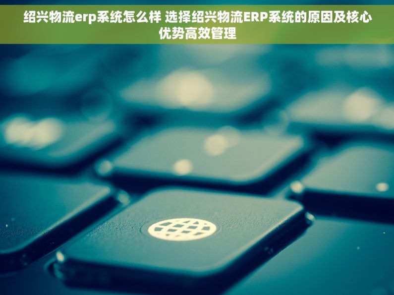 绍兴物流erp系统怎么样 选择绍兴物流ERP系统的原因及核心优势高效管理