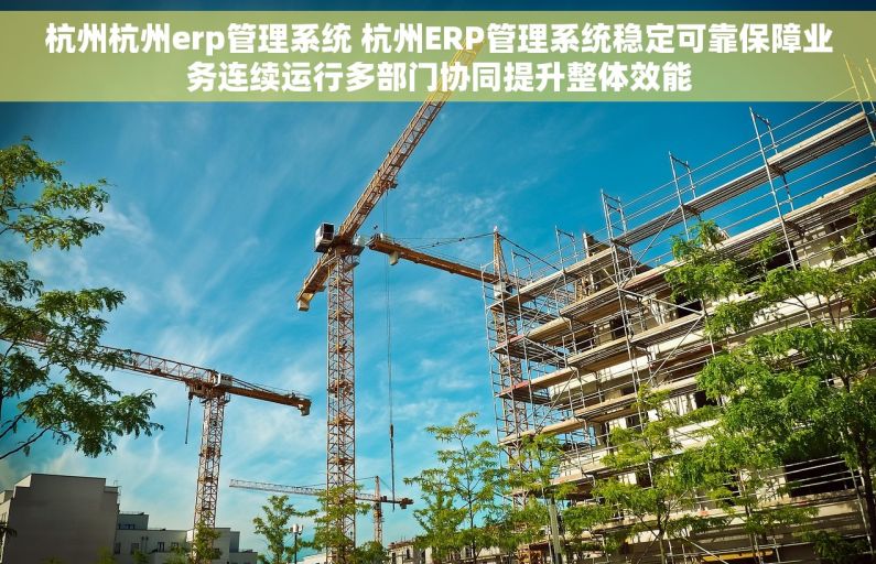 杭州杭州erp管理系统 杭州ERP管理系统稳定可靠保障业务连续运行多部门协同提升整体效能
