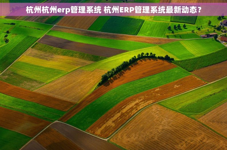 杭州杭州erp管理系统 杭州ERP管理系统最新动态? 杭州杭州erp管理系统 杭州ERP管理系统最新动态?