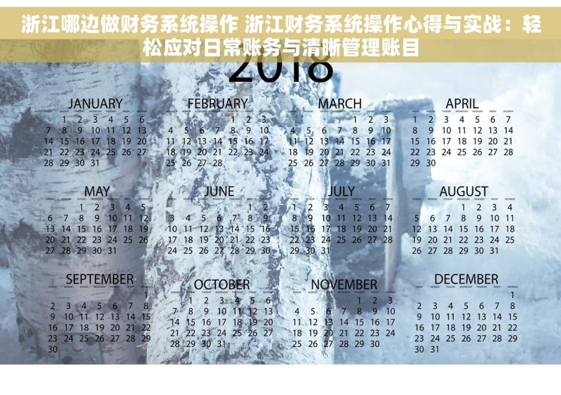 浙江哪边做财务系统操作 浙江财务系统操作心得与实战：轻松应对日常账务与清晰管理账目