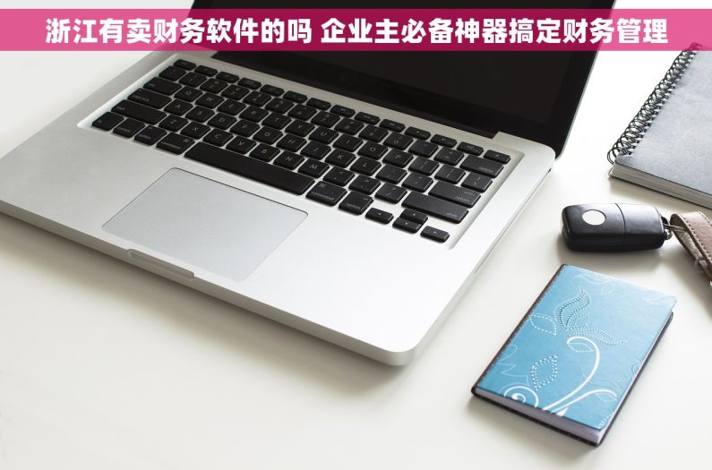 浙江有卖财务软件的吗 企业主必备神器搞定财务管理 浙江有卖财务软件的吗 企业主必备神器搞定财务管理