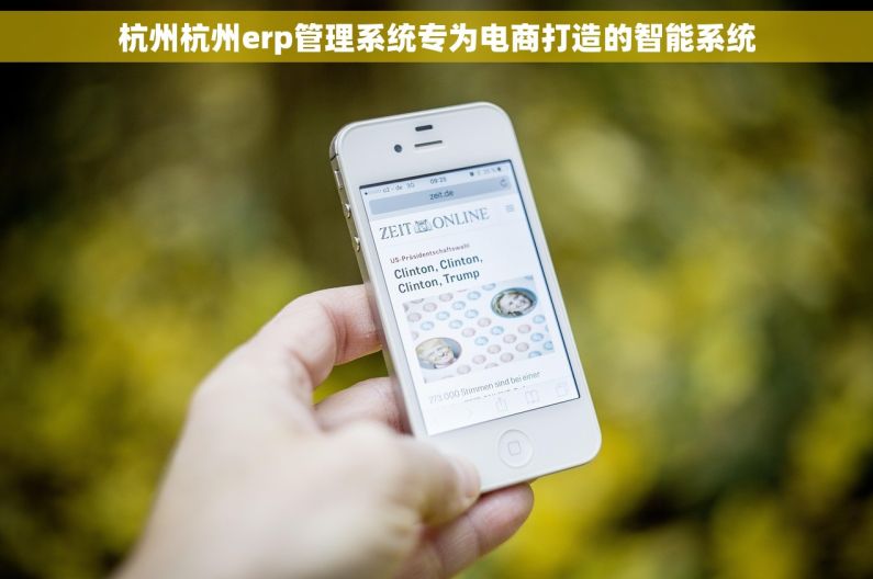 杭州杭州erp管理系统专为电商打造的智能系统 杭州杭州erp管理系统专为电商打造的智能系统