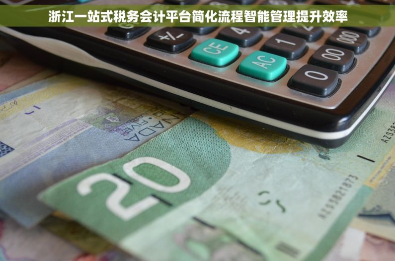 浙江一站式税务会计平台简化流程智能管理提升效率