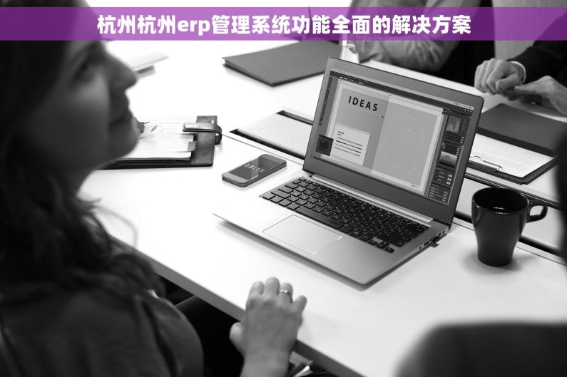 杭州杭州erp管理系统功能全面的解决方案