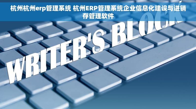 杭州杭州erp管理系统 杭州ERP管理系统企业信息化建设与进销存管理软件