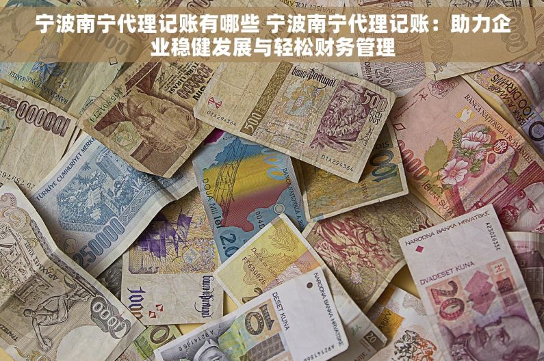 宁波南宁代理记账有哪些 宁波南宁代理记账：助力企业稳健发展与轻松财务管理