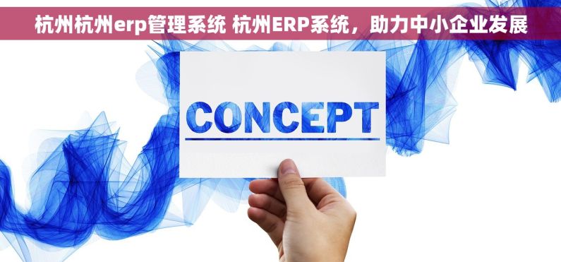 杭州杭州erp管理系统 杭州ERP系统，助力中小企业发展