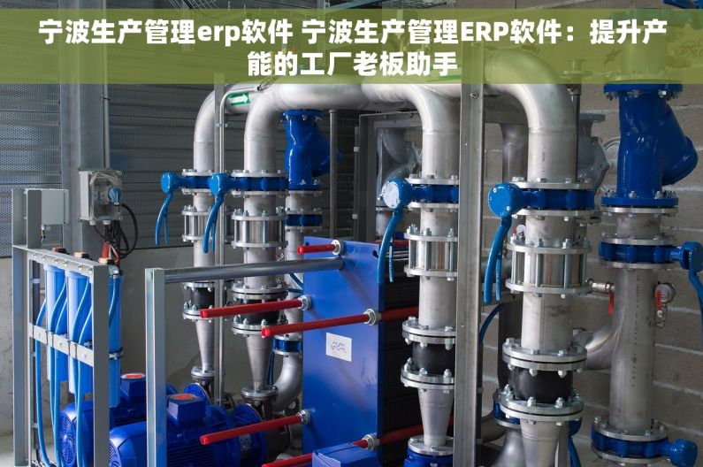 宁波生产管理erp软件 宁波生产管理ERP软件：提升产能的工厂老板助手