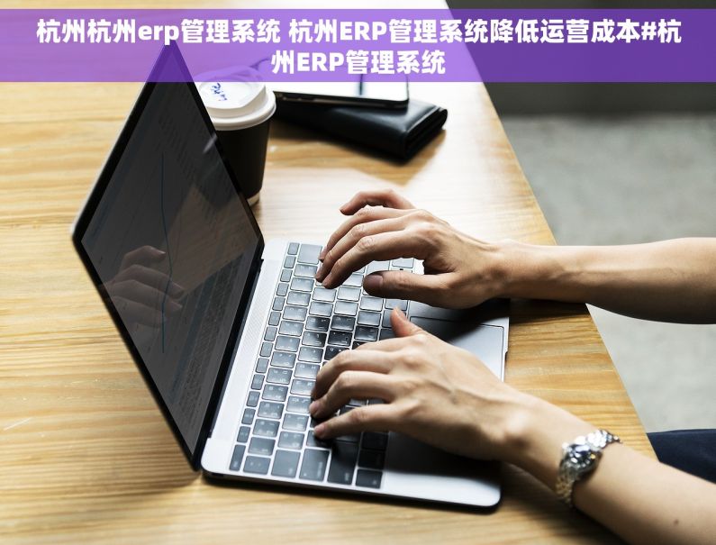 杭州杭州erp管理系统 杭州ERP管理系统降低运营成本#杭州ERP管理系统