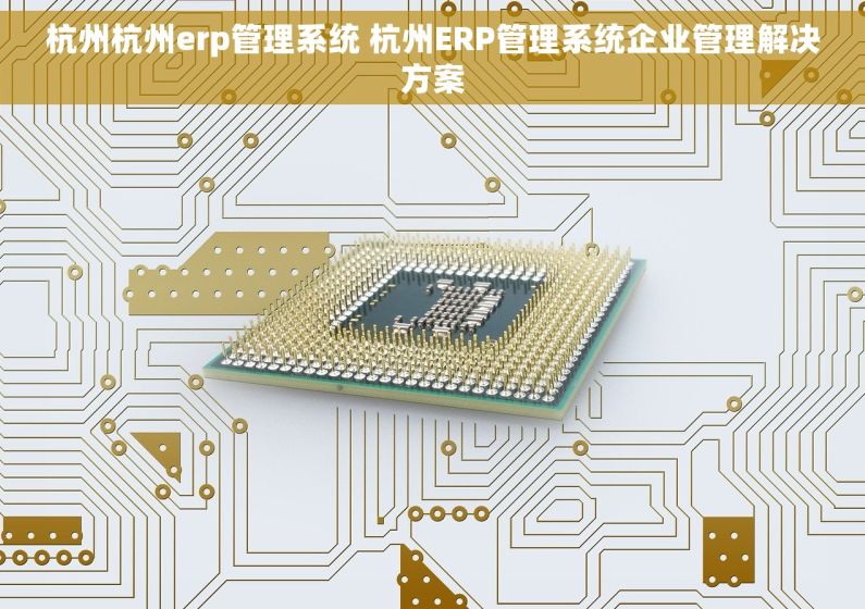 杭州杭州erp管理系统 杭州ERP管理系统企业管理解决方案 杭州杭州erp管理系统 杭州ERP管理系统企业管理解决方案