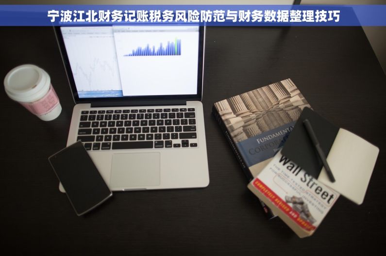 宁波江北财务记账税务风险防范与财务数据整理技巧