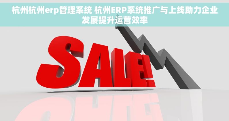 杭州杭州erp管理系统 杭州ERP系统推广与上线助力企业发展提升运营效率