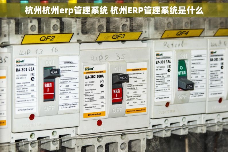 杭州杭州erp管理系统 杭州ERP管理系统是什么 杭州杭州erp管理系统 杭州ERP管理系统是什么
