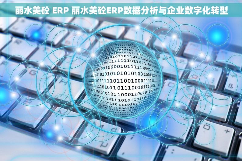 丽水美砼 ERP 丽水美砼ERP数据分析与企业数字化转型 丽水美砼 ERP 丽水美砼ERP数据分析与企业数字化转型