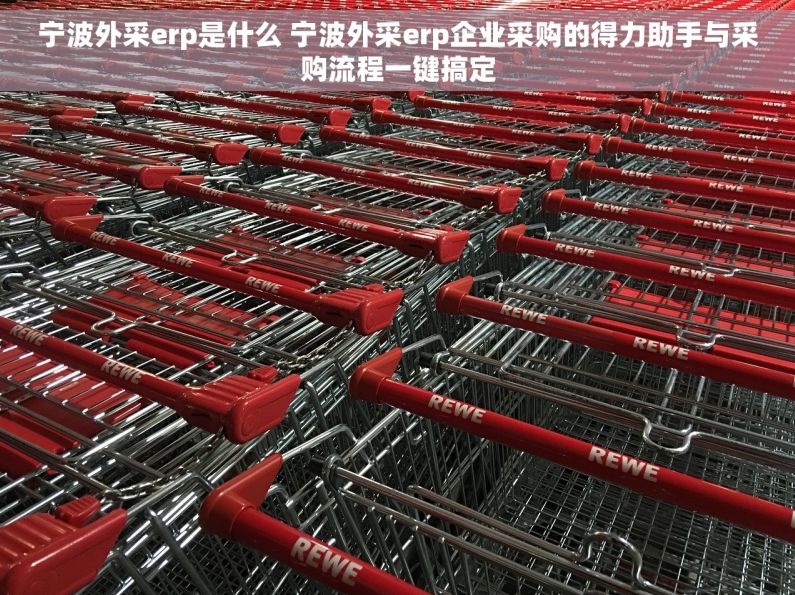 宁波外采erp是什么 宁波外采erp企业采购的得力助手与采购流程一键搞定 宁波外采erp是什么 宁波外采erp企业采购的得力助手与采购流程一键搞定
