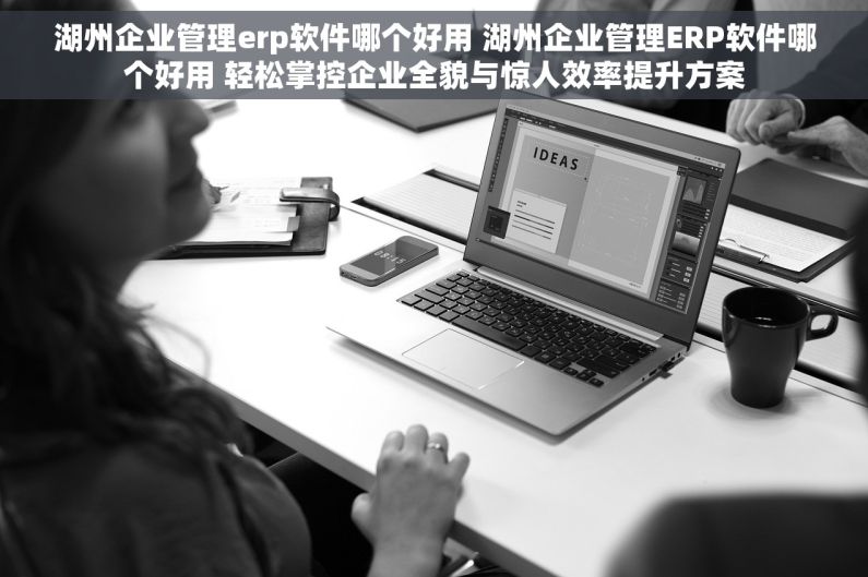 湖州企业管理erp软件哪个好用 湖州企业管理ERP软件哪个好用 轻松掌控企业全貌与惊人效率提升方案