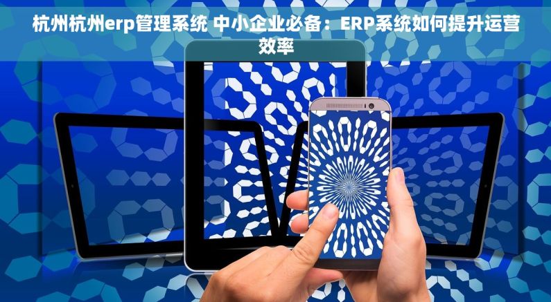 杭州杭州erp管理系统 中小企业必备：ERP系统如何提升运营效率