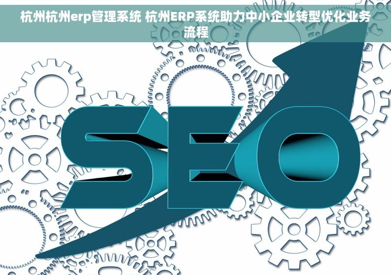 杭州杭州erp管理系统 杭州ERP系统助力中小企业转型优化业务流程
