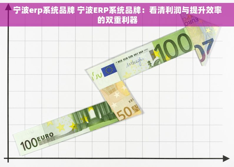 宁波erp系统品牌 宁波ERP系统品牌:看清利润与提升效率的双重利器 宁波erp系统品牌 宁波ERP系统品牌:看清利润与提升效率的双重利器
