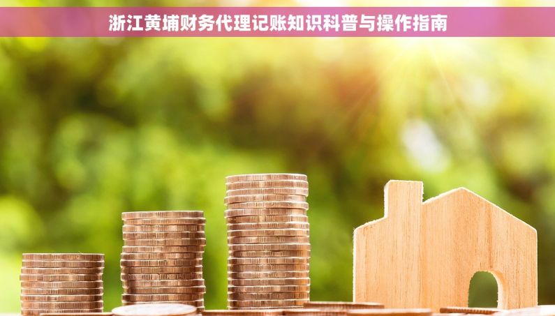 浙江黄埔财务代理记账知识科普与操作指南 浙江黄埔财务代理记账知识科普与操作指南