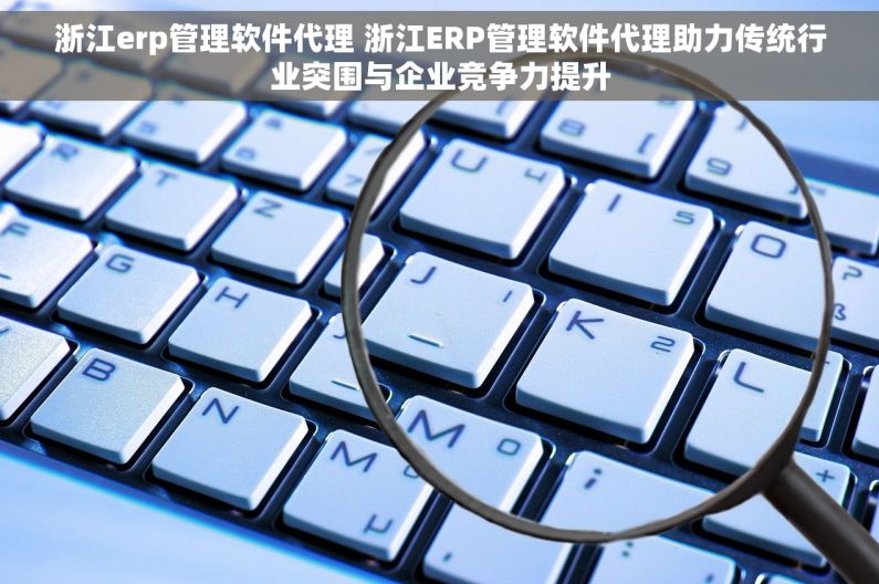浙江erp管理软件代理 浙江ERP管理软件代理助力传统行业突围与企业竞争力提升 浙江erp管理软件代理 浙江ERP管理软件代理助力传统行业突围与企业竞争力提升