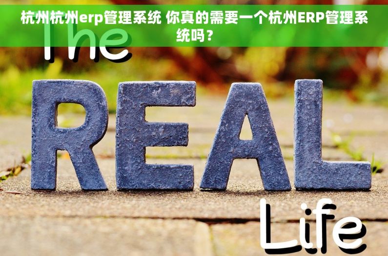 杭州杭州erp管理系统 你真的需要一个杭州ERP管理系统吗? 杭州杭州erp管理系统 你真的需要一个杭州ERP管理系统吗?