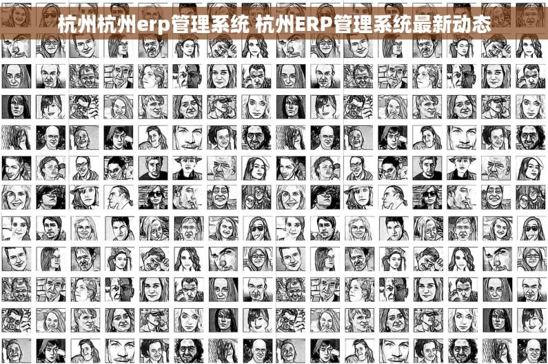 杭州杭州erp管理系统 杭州ERP管理系统最新动态