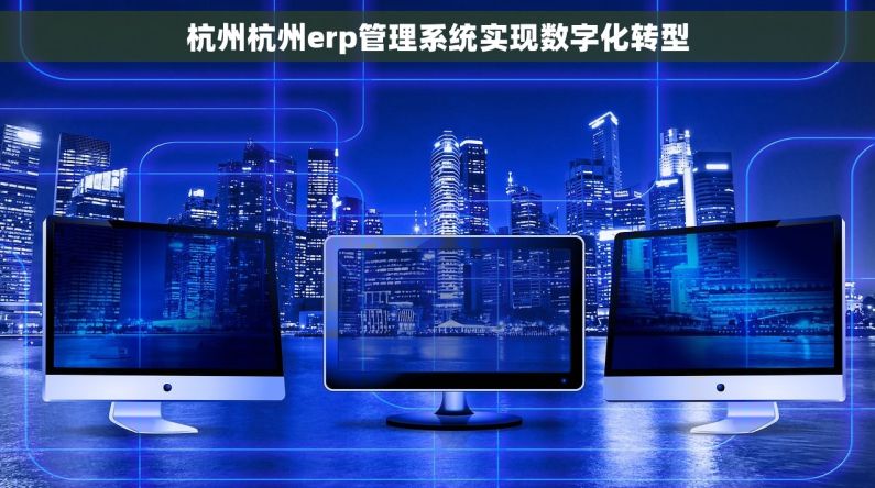 杭州杭州erp管理系统实现数字化转型 杭州杭州erp管理系统实现数字化转型