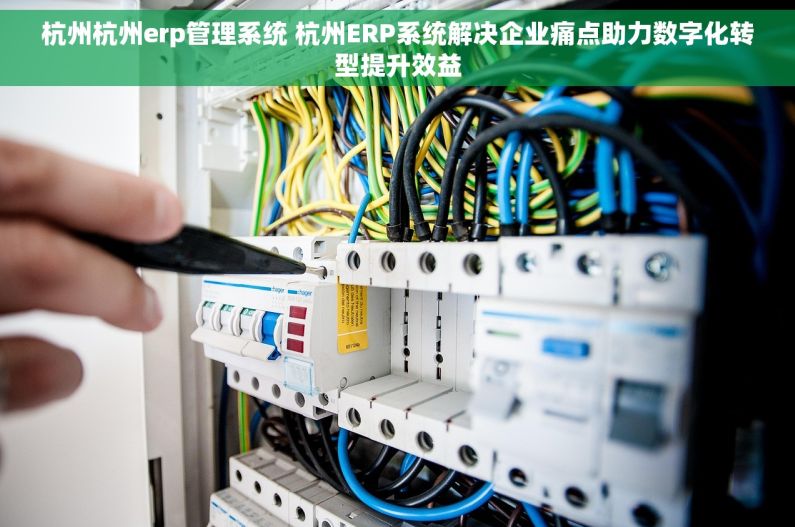 杭州杭州erp管理系统 杭州ERP系统解决企业痛点助力数字化转型提升效益 杭州杭州erp管理系统 杭州ERP系统解决企业痛点助力数字化转型提升效益