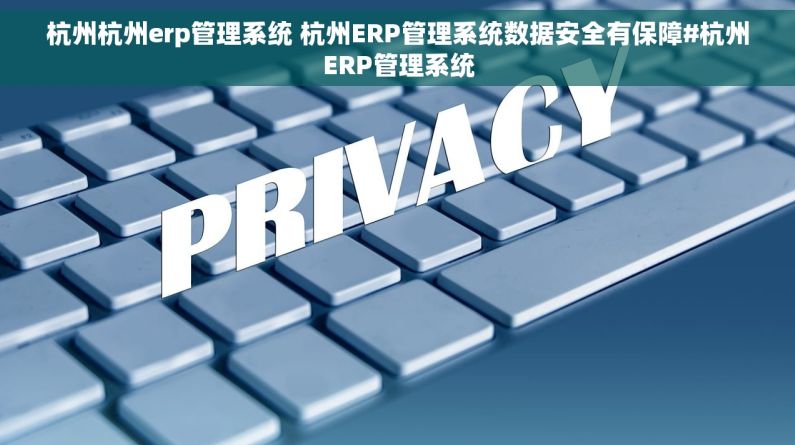 杭州杭州erp管理系统 杭州ERP管理系统数据安全有保障#杭州ERP管理系统 杭州杭州erp管理系统 杭州ERP管理系统数据安全有保障#杭州ERP管理系统
