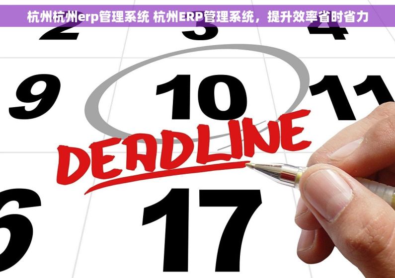 杭州杭州erp管理系统 杭州ERP管理系统,提升效率省时省力 杭州杭州erp管理系统 杭州ERP管理系统,提升效率省时省力