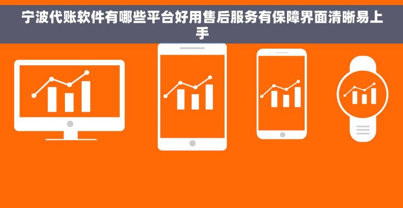 宁波代账软件有哪些平台好用售后服务有保障界面清晰易上手 宁波代账软件有哪些平台好用售后服务有保障界面清晰易上手