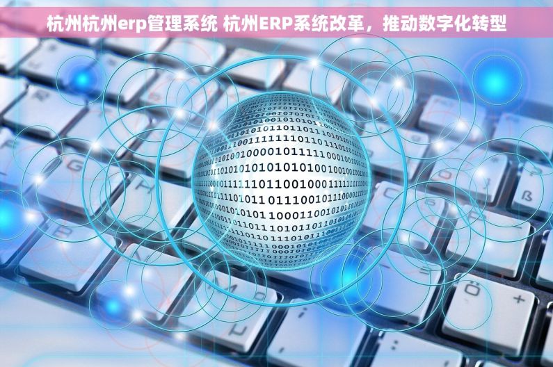杭州杭州erp管理系统 杭州ERP系统改革,推动数字化转型 杭州杭州erp管理系统 杭州ERP系统改革,推动数字化转型
