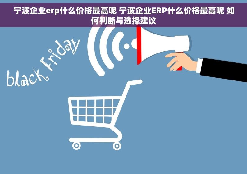 宁波企业erp什么价格最高呢 宁波企业ERP什么价格最高呢 如何判断与选择建议